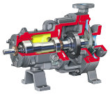 ANSI pump